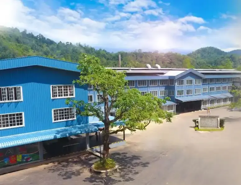 A scenic view of Galpaditenna Tea Factory
