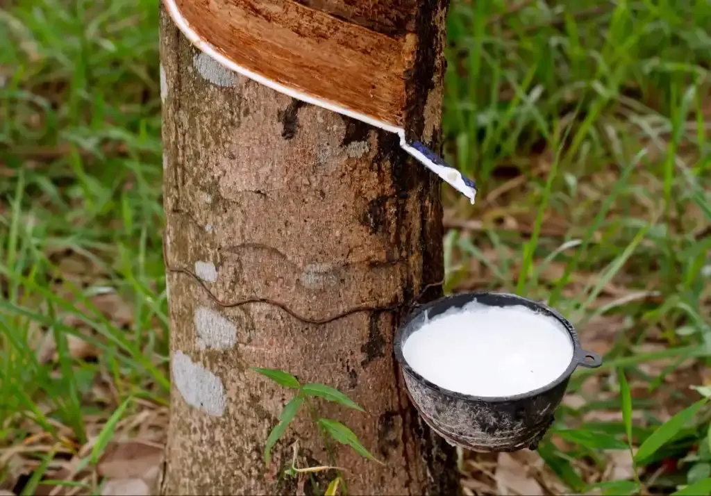 rubber